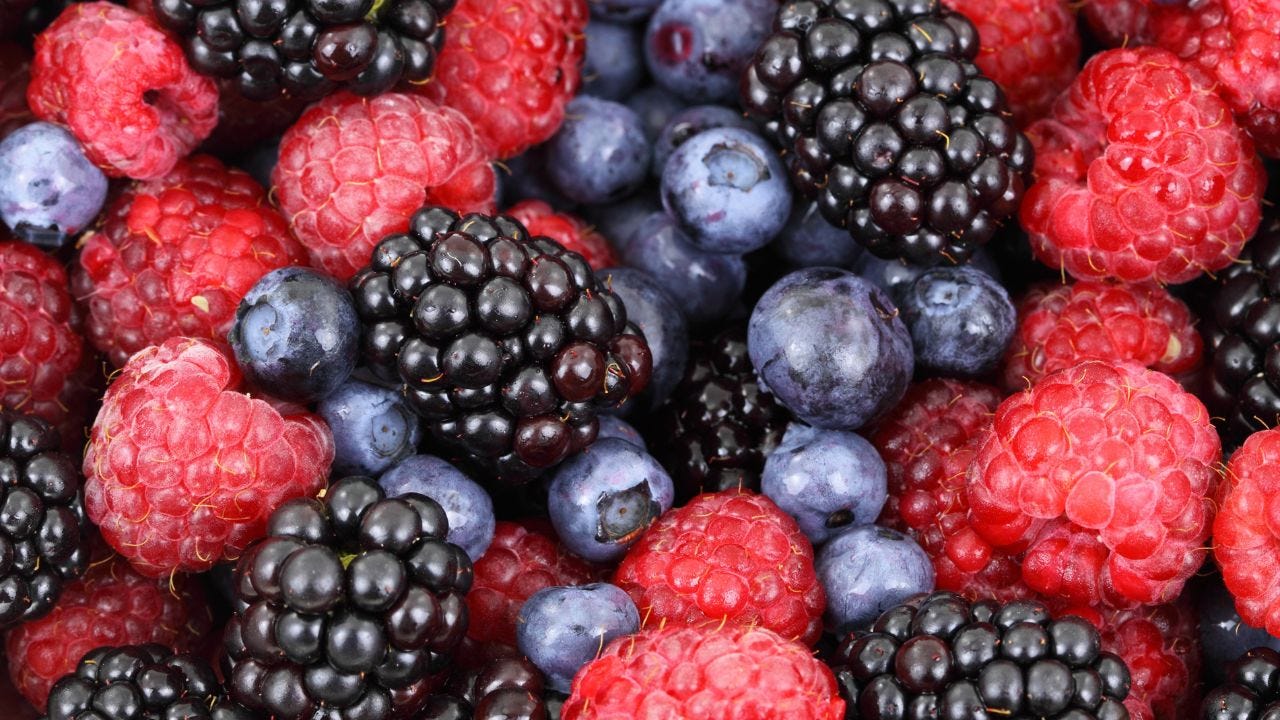 Polyphenol rich berries
